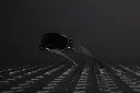Magnum (Blackout) (2).webp