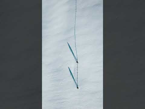 CRYOSTAT V2 (-20°) - OKTO 