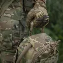 10248008-29.webp