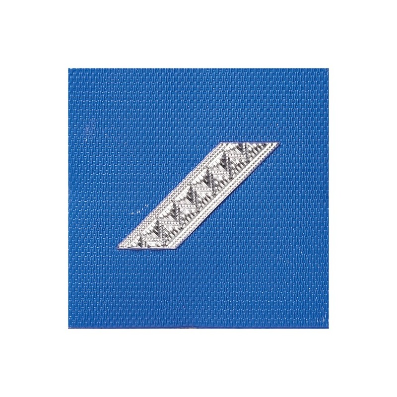 GRADE POLICE MUNICIPALE (GARDIEN STAGIAIRE)